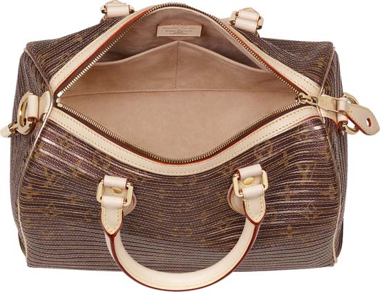 Louis Vuitton  Speedy Bag