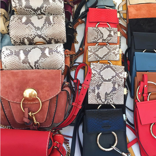 A Runway Bag Collection Of Chloe Spring/Summer In 2016