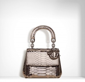 Dior’s Bag Fall/Winter 2015 Collection