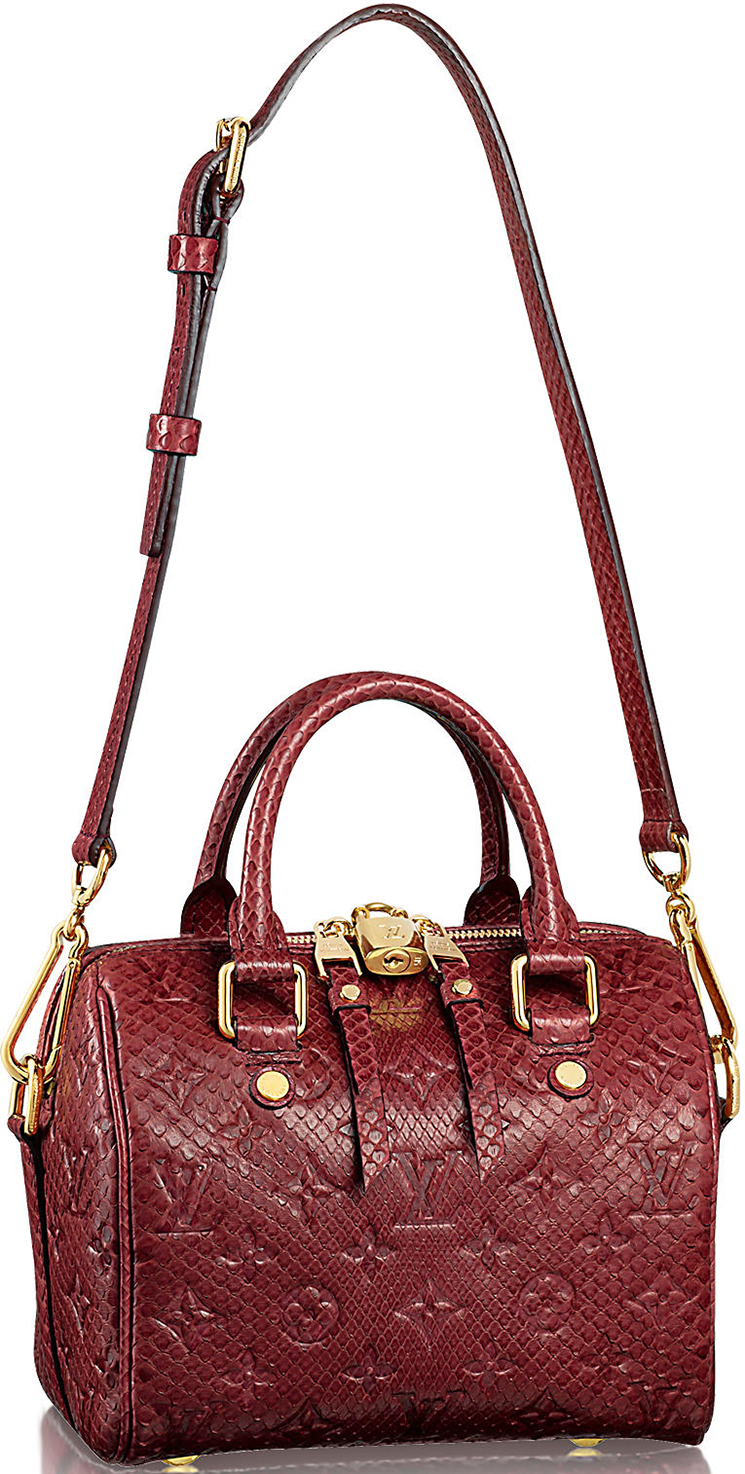 Previewing Louis Vuitton Speedy Python Bag - Blog for Best Designer Bags Review