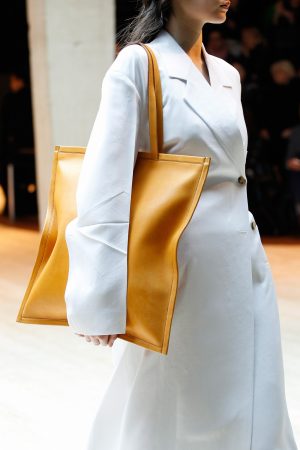 Celine Fall/Winter 2017 Runway Bag Collection